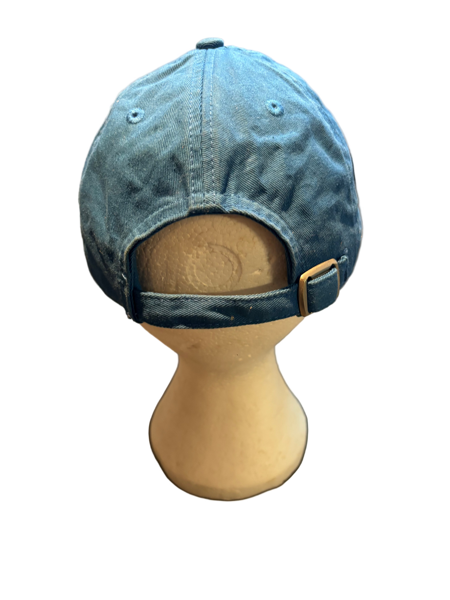 Detroit lions NFL Cap, Adjustable