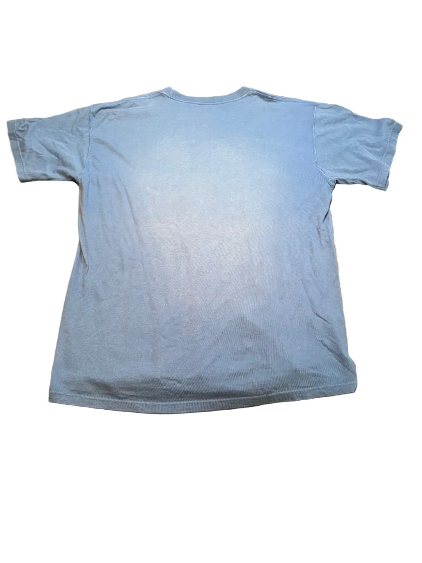 Chicago Blue Graphic T-Shirt, L